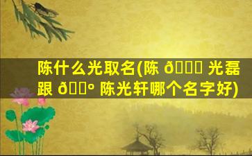 陈什么光取名(陈 🐋 光磊跟 🌺 陈光轩哪个名字好)